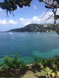Cedar anchored in Grand Mal, Grenada.